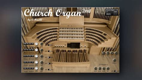 claim plug organ